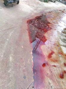 屠宰最新爆料消息网,屠宰行业惊人内幕大揭秘! 第2张 屠宰最新爆料消息网,屠宰行业惊人内幕大揭秘! 第2张