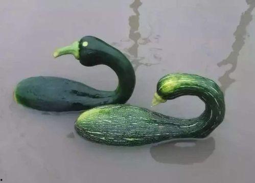 徐州吃瓜网红是谁啊视频,揭秘幕后故事 第2张 徐州吃瓜网红是谁啊视频,揭秘幕后故事 第2张