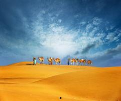 最新沙漠爆料新闻事件视频